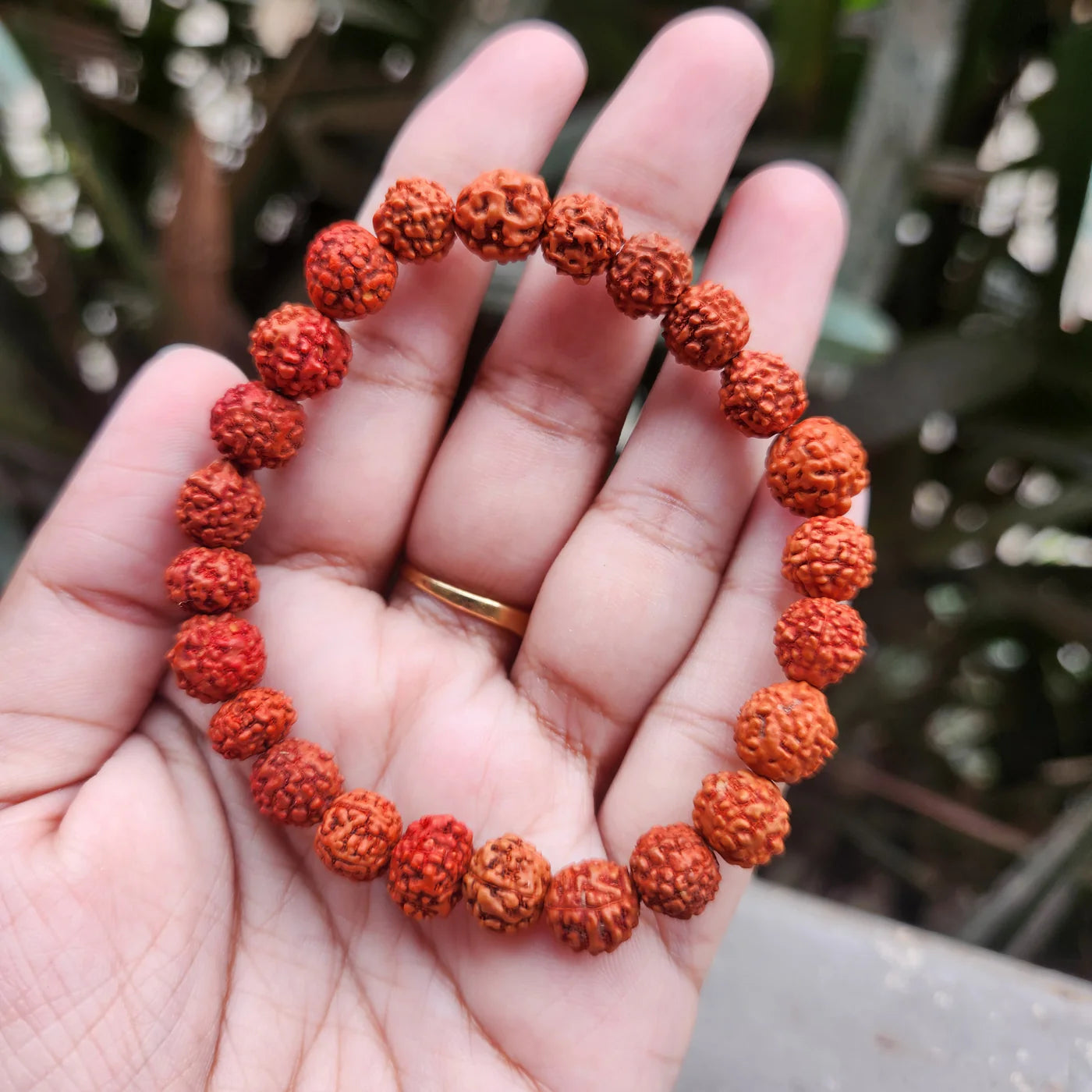 100% Original & Energised 5 Mukhi Rudraksha Bracelet