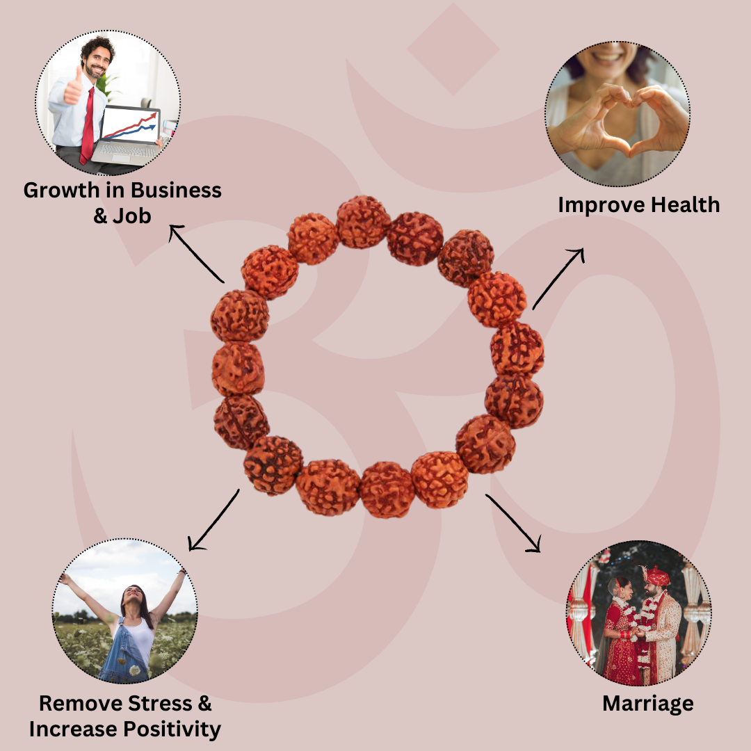 100% Original & Energised 5 Mukhi Rudraksha Bracelet