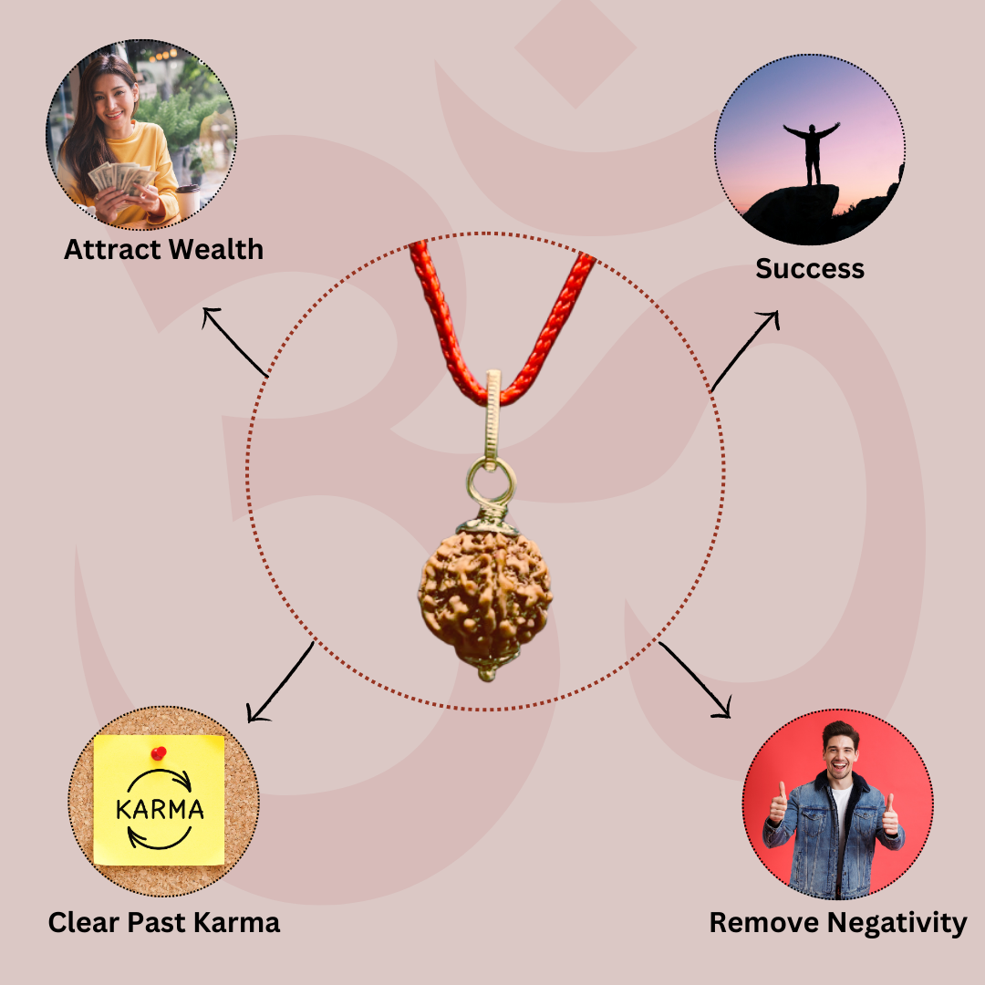 100% Original & Energised 5 Mukhi Rudraksha Bracelet