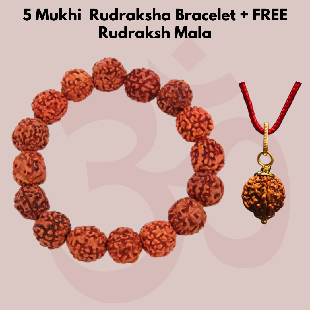 100% Original & Energised 5 Mukhi Rudraksha Bracelet