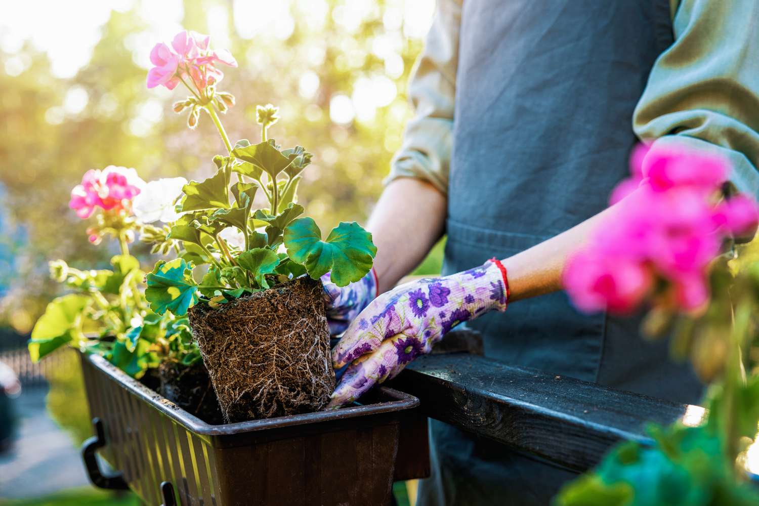 Gardening